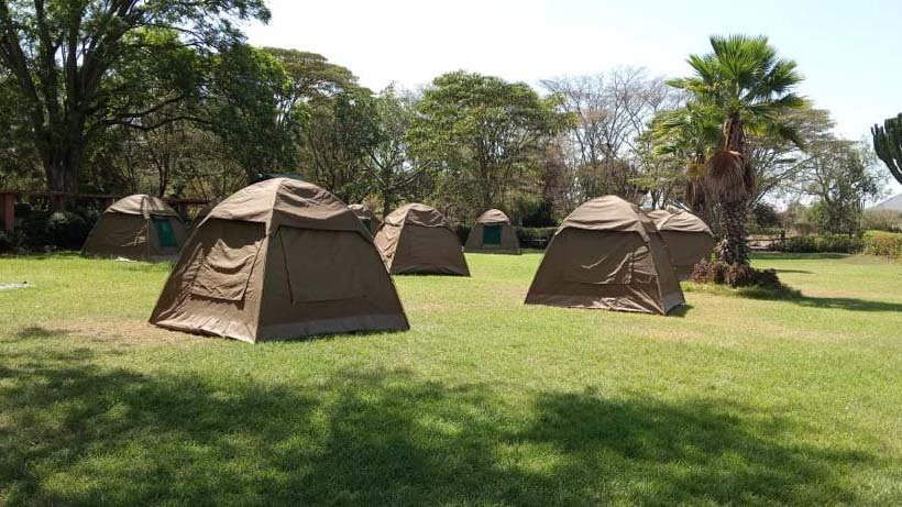 Camping, Rift Valley, Lake Elementaita Jacaranda Lodge, Leviamice